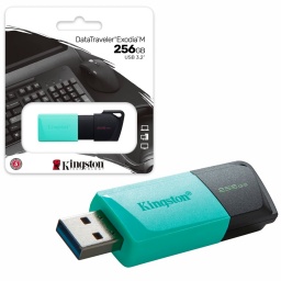 PENDRIVE KINGSTON DTXM 256GB USB 3.2