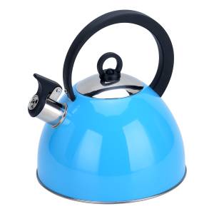 Caldera Acero Inoxidabl Celeste 3l Kassel