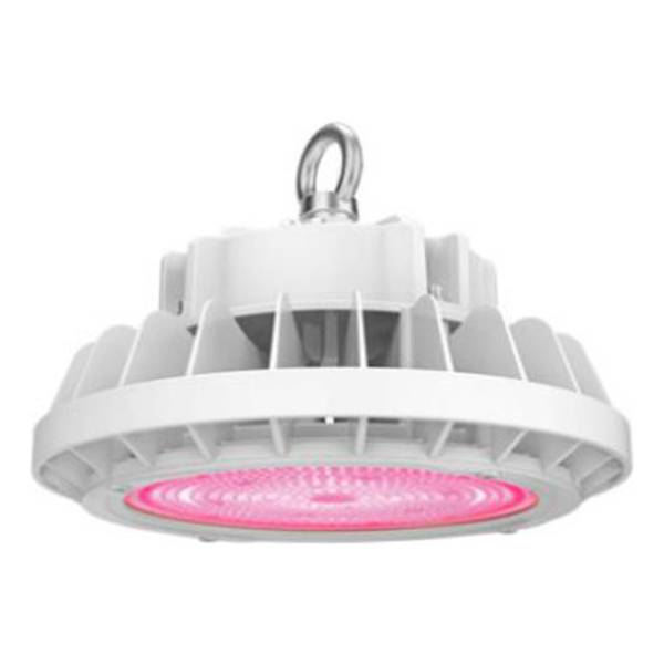 Lampara Grow Crecimiento 200w Floración Indoor