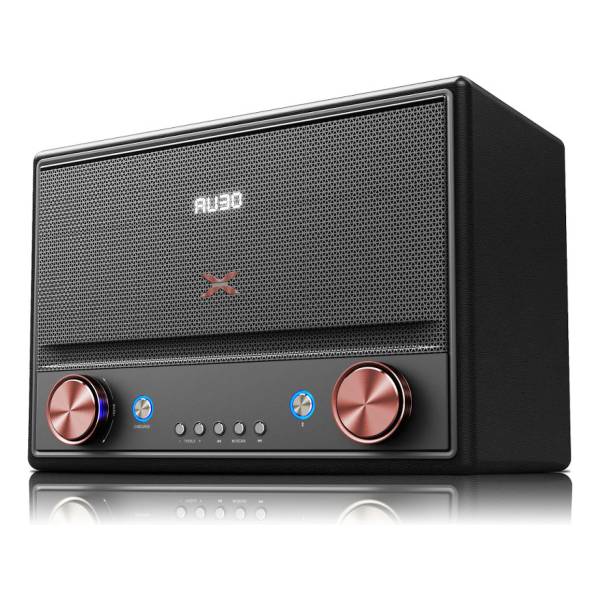 Parlante Retro Xion Potencia 10.000w Pmpo