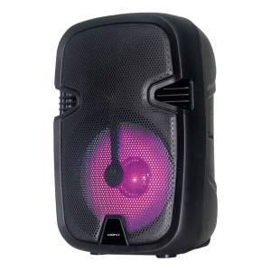 Parlante 8 PuLG. 3600w Xion Radio Bt Usb