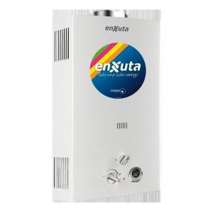 Calentador A Gas Instantaneo 16lt Tiro Forzado Gas Natural O