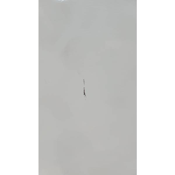 FREEZER HORIZONTAL FHJ 100KT JAMES 95 LT - Imagen 2