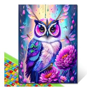 Kit Puzzle Diamante 5d Diseño Buho