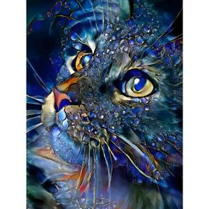 Kit Puzzle Diamante 5d Diseño Gato