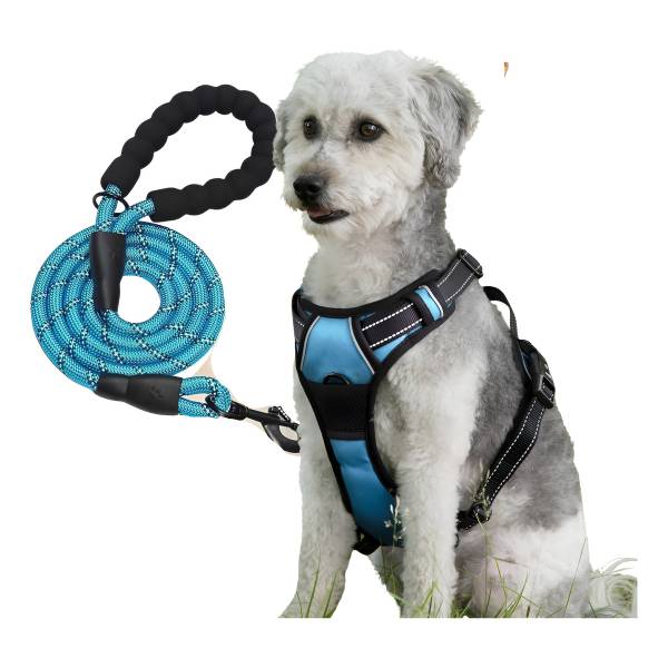 Pechera Anti Tirones Para Perro Pretal Antitiro + Correa