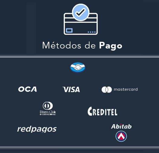 Ff Pata Pata Pison Compactador Apisonador 6.5hp Nafta Ingco - Imagen 2