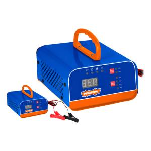 Cargador Baterias 12/24v 10a/20a Wadfow Wby1a201