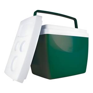 Conservadora Heladera Mor 34l Portatil Camping Playa Frio