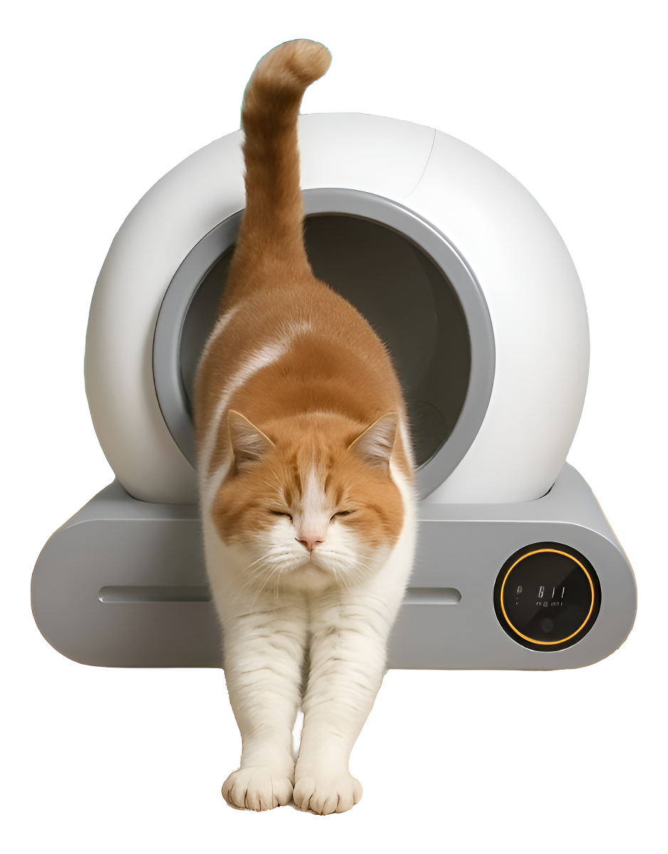 Arenero Inteligente Automático Para Gatos Aplicación Celular